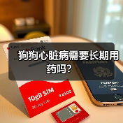 狗狗心脏病需要长期用药吗？（图3）