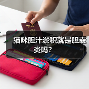 猫咪胆汁淤积就是胆囊炎吗？（图1）