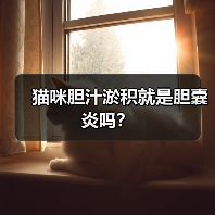 猫咪胆汁淤积就是胆囊炎吗？