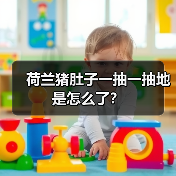 荷兰猪肚子一抽一抽地是怎么了？