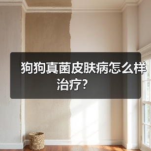 狗狗真菌皮肤病怎么样治疗？