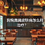 狗狗真菌皮肤病怎么样治疗？（图2）