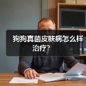 狗狗真菌皮肤病怎么样治疗？（图3）