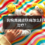 狗狗真菌皮肤病怎么样治疗？（图4）