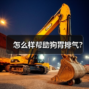 怎么样帮助狗胃排气？（图1）