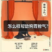 怎么样帮助狗胃排气？（图3）