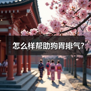 怎么样帮助狗胃排气？（图2）