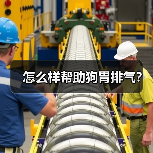 怎么样帮助狗胃排气？