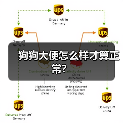 狗狗大便怎么样才算正常？（图1）