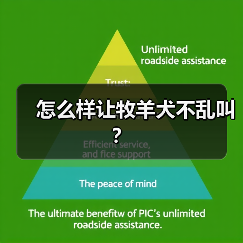 怎么样让牧羊犬不乱叫？（图1）