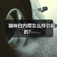 猫咪白内障怎么样引起的？（图4）