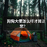 狗狗大便怎么样才算正常？