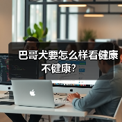 巴哥犬要怎么样看健康不健康？（图1）