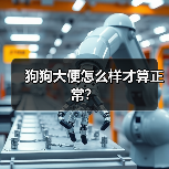 狗狗大便怎么样才算正常？（图4）