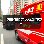 猫咪眼睑怎么样叫正常？（图3）