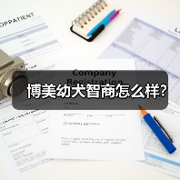 博美幼犬智商怎么样？（图4）