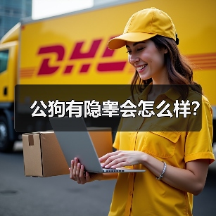 公狗有隐睾会怎么样？（图3）