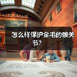怎么样保护金毛的髋关节？（图1）