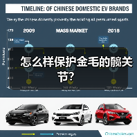 怎么样保护金毛的髋关节？（图4）