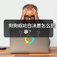 狗狗呕吐白沫是怎么回事？
