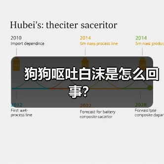 狗狗呕吐白沫是怎么回事？（图4）