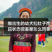 刚出生的幼犬拉肚子而且状态很差是怎么回事？（图1）