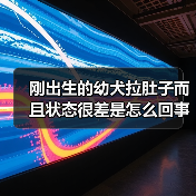 刚出生的幼犬拉肚子而且状态很差是怎么回事？