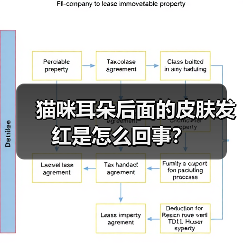 猫咪耳朵后面的皮肤发红是怎么回事？