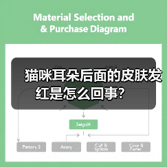 猫咪耳朵后面的皮肤发红是怎么回事？（图3）