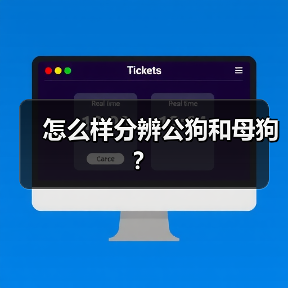 怎么样分辨公狗和母狗？