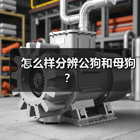 怎么样分辨公狗和母狗？（图3）
