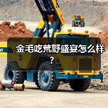 金毛吃荒野盛宴怎么样？（图1）