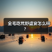金毛吃荒野盛宴怎么样？