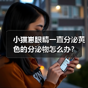 小猫崽眼睛一直分泌黄色的分泌物怎么办？（图3）