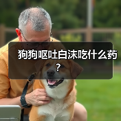 狗狗呕吐白沫吃什么药？