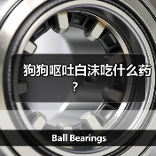 狗狗呕吐白沫吃什么药？（图3）