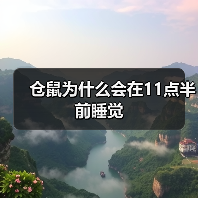 仓鼠为什么会在11点半前睡觉（图4）