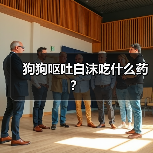 狗狗呕吐白沫吃什么药？（图4）