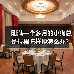 刚满一个多月的小狗总是拉果冻样便怎么办？（图3）