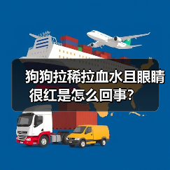 狗狗拉稀拉血水且眼睛很红是怎么回事？（图4）