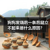 狗狗发烧后一条后腿立不起来是什么原因？（图1）