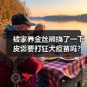 被家养金丝熊挠了一下皮需要打狂犬疫苗吗？