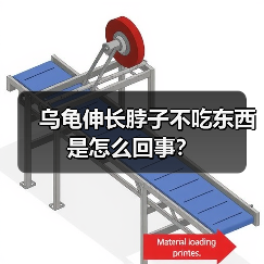 乌龟伸长脖子不吃东西是怎么回事？（图2）