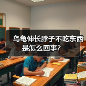 乌龟伸长脖子不吃东西是怎么回事？（图3）