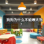狗狗为什么不能喂太饱？（图2）