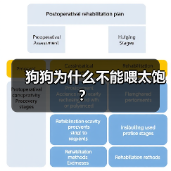 狗狗为什么不能喂太饱？（图3）