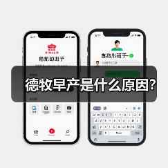 德牧早产是什么原因？（图2）