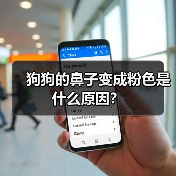 狗狗的鼻子变成粉色是什么原因？（图1）