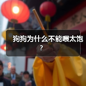 狗狗为什么不能喂太饱？（图4）