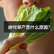 德牧早产是什么原因？（图3）